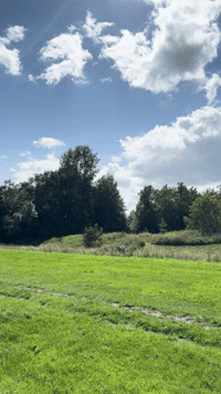 Travel City GIF