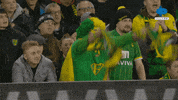 Fans Superhero GIF by MolaTV