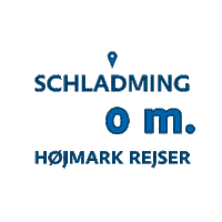Hojmarkrejser ski Sticker