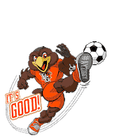 bgsufalcons ayziggy Sticker by Bowling Green State University