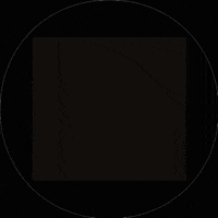 tony_petfluencer_agency dog dogs tony hund GIF