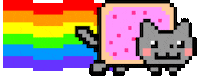 cat rainbow GIF