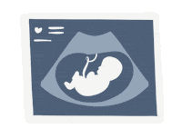 Ultrasound Sticker by min & mun