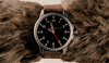 Fantastic Mr Fox Film GIF