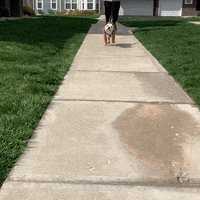 Happy On My Way GIF by Butler University