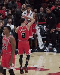 zach lavine nba GIF by Chicago Bulls