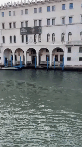 Venice Mayor Denounces 'Imbeciles' on Electric Surfboards