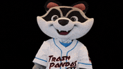 Raccoon Wow GIF by Rocket City Trash Pandas