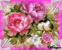 Flowers Roses GIF