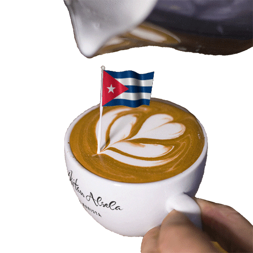 Coffee Time Cuba GIF by Dritan Alsela Coffee