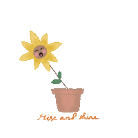 Rise And Shine Sticker