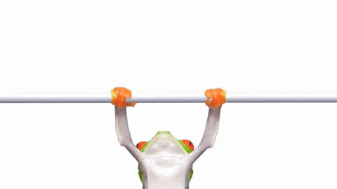 Fitness Pull Up GIF by TELUS