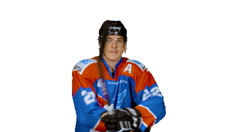 unisflyers giphyupload goal adam eagles Sticker