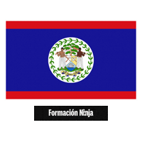 Belize Flag Sticker by Formación Ninja