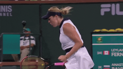 Pavlyuchenkova GIF