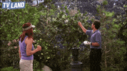 everybody loves raymond GIF by TV Land