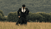 the-enterpreneurs royal morgan cielo dox GIF