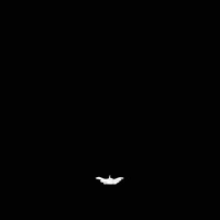 Animation Loop GIF by Winston Duke