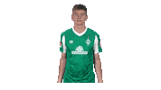 Bundesliga Nick Sticker by SV Werder Bremen