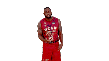 Liga Endesa Basketball Sticker by ACB