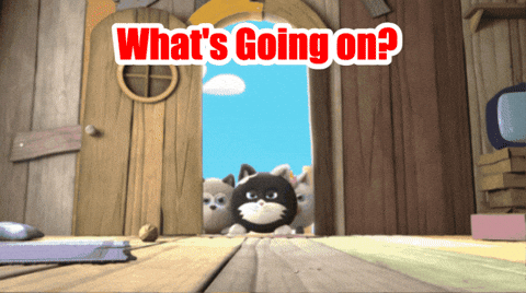 Angry Pets GIF by HangryPetz