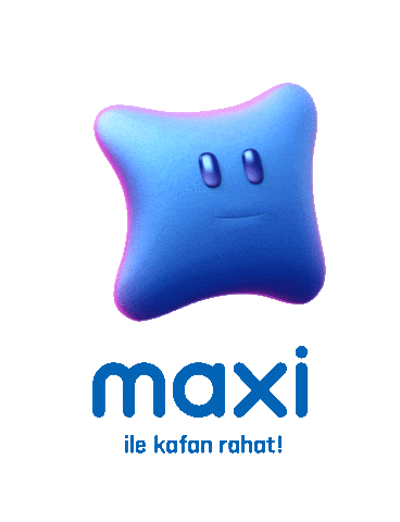 maxi ok Sticker by Maximum Kart