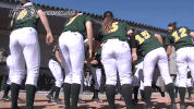 north dakota state bison GIF by NDSU Athletics