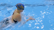 UniofBath  GIF