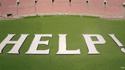 Global Goal Help GIF by Global Citizen