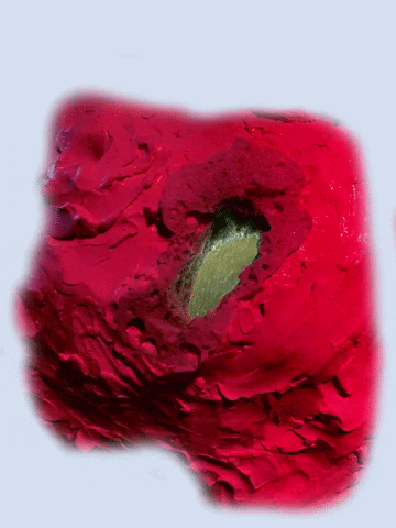 qwertow giphyupload GIF