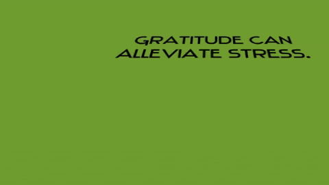 rewiredotorg giphyupload animation good pbs GIF