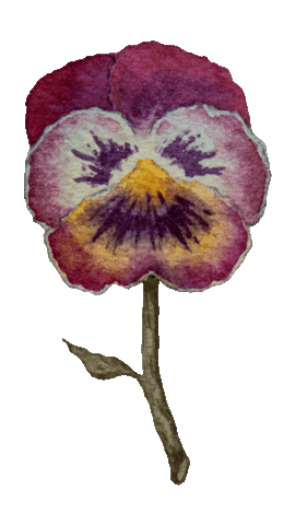 Vintage Flower Sticker