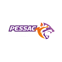 Pessac Sticker by SPUC Handball