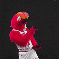 Red Bull Dance GIF by Chicago Bulls