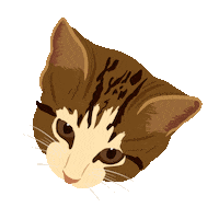 Cats Dogs Sticker by Mo4Paws