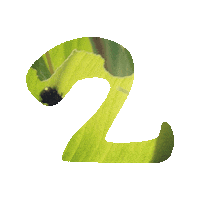 Leaf Worm Sticker by jorgemariozuleta