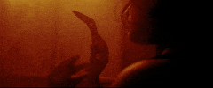 Fear And Loathing Fire GIF by Sub Pop Records