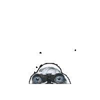 Eye Vision Sticker