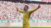 eintracht frankfurt bundesliga GIF