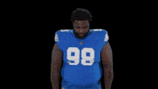 Football Nfl GIF by Detroit Lions