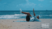 Lando Norris Beach GIF by Hilton Hotels