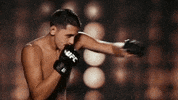 warm up fight GIF