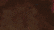 France Fire GIF by Southampton FC