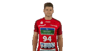 Handball Lingen Sticker by LIQUI MOLY HBL