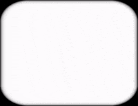 Fly Bug GIF by Barbara Pozzi