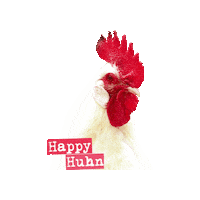 roberthck chicken rooster chickens hahn Sticker