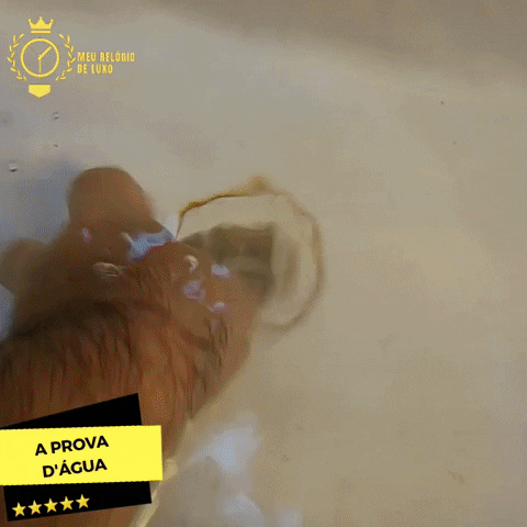 MeuRelogiodeLuxo giphygifmaker GIF