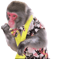 Fun Monkey Sticker
