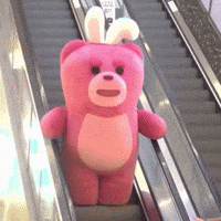 Bear Love GIF