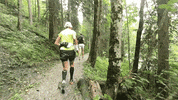 Run Running GIF by Glacier 3000